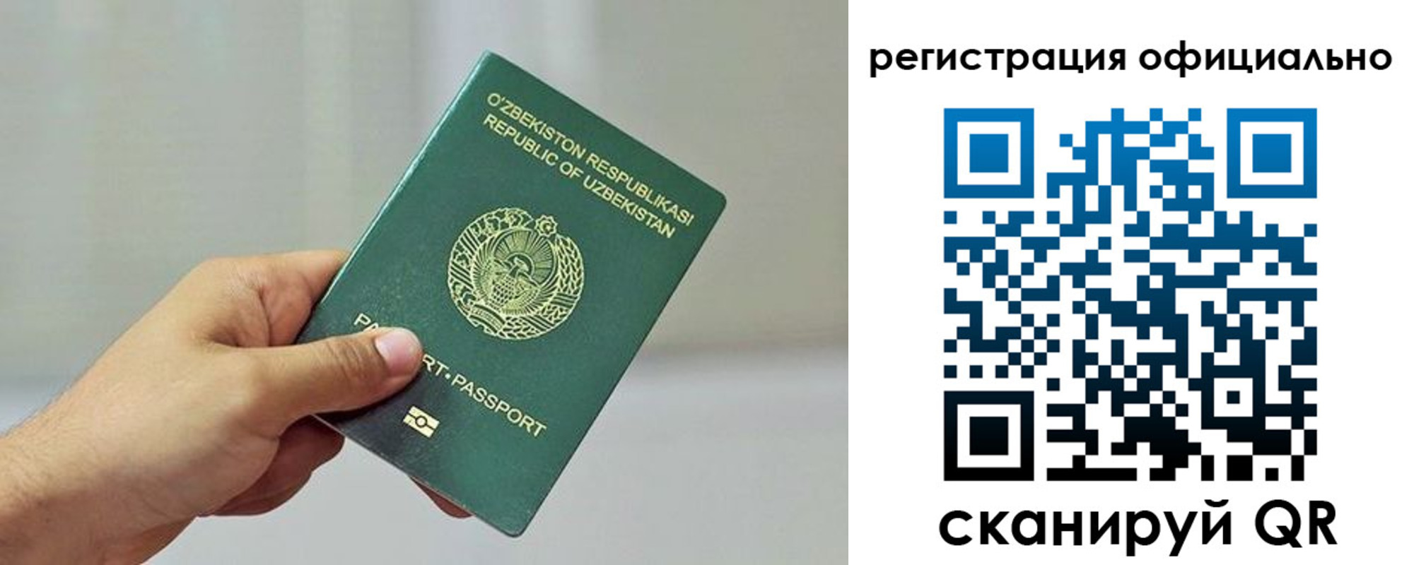 прописка в квартире в Светлограде